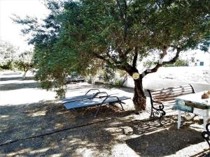 依拉佩特拉Studio with sea view的野餐桌和树下的长凳
