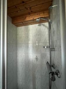 Sankt Veit in DefereggenMühle in Görtschach的带淋浴的浴室(带石墙)