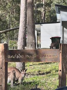 LandsboroughRural Self Contained 3 bedroom Cottage on acreage,的一只袋鼠站在围栏上的标志旁边