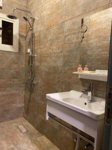 欧拉ALULA WINTER的一间带水槽和淋浴的浴室