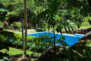 拉特纳普勒Green Leaf Holiday Bungalow的绿树成荫的花园中的蓝色游泳池