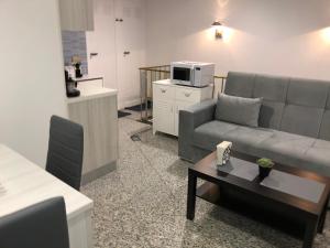 马德里Luxurious 5 Bedroom Apartment in Moncloa-Aravaca的客厅配有沙发和桌子