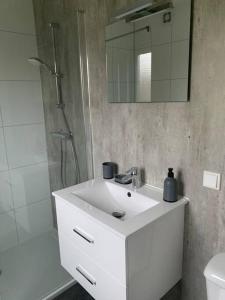 LathumLuxus Chalet Waterfront的浴室配有白色水槽和淋浴。