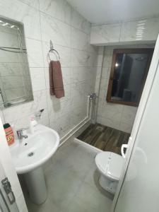 马夫罗沃Villa ANA-Mavrovo的一间带水槽、卫生间和淋浴的浴室