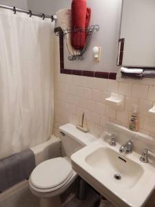 索尔兹伯里Riverfront Loft Apt A的浴室配有白色卫生间和盥洗盆。