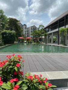 科伦坡Luxurious 2 bedroom apartment - Ariyana Resort Apartments -Athurugiriya的一座在大楼前方的游泳池,里面装有红色的鲜花