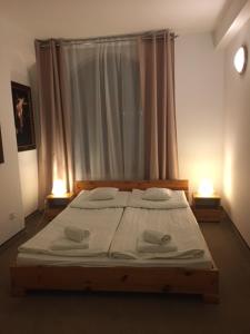 什恰夫尼察Apartamenty Jan的一间卧室配有一张大床和两盏灯