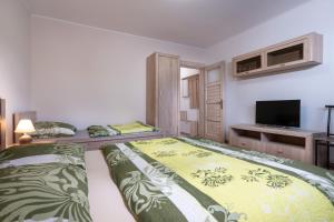 斯维特StoneMlynska 7 Slovakia的一间卧室配有两张床和一台平面电视