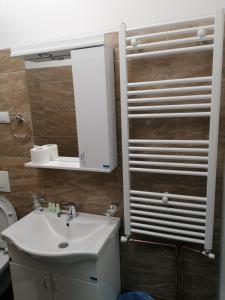 新瓦罗什Restoran Filipovic的一间带水槽和镜子的浴室