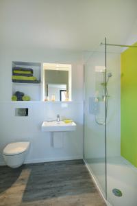 斯塔芬Skye Eyrie的浴室配有卫生间、盥洗盆和淋浴。