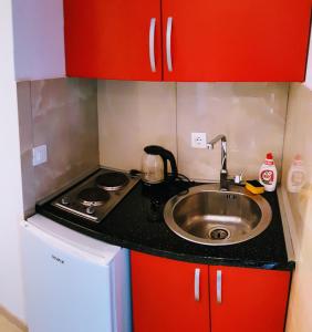 多布拉沃达Villa Alba Apartments的一个带水槽和红色橱柜的小厨房