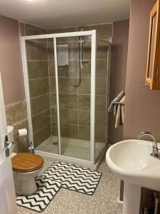 帕兹托Comfy and welcoming 2 bedroom Annex.的带淋浴、卫生间和盥洗盆的浴室