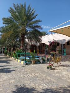 Al JināhValley CLIFF INN的棕榈树和游泳池的度假村