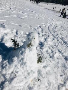 伊夫兰APPARTEMENT AMIRA iFRANE的雪人用雪做成的