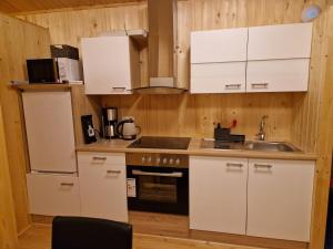 博尔加内斯Mófellsstaðakot的厨房配有白色橱柜和水槽