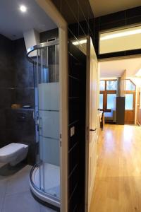 国玺3-room separate unit in Sceaux (80 sq.m/860 sq.ft)的一间带玻璃淋浴和卫生间的浴室