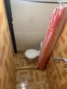 马萨亚Hostel Casa María的一间带卫生间和淋浴帘的浴室