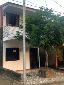 马萨亚Hostel Casa María的一座房子前面的树,有一座建筑物