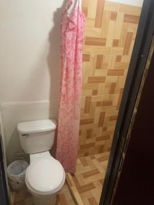 马萨亚Hostel Casa María的浴室设有卫生间和粉红色的淋浴帘