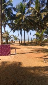 戈卡尔纳Coco Beach Gokarna的沙滩上的棕榈树