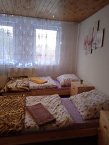 Železný BrodUbytovani u Nadii的带三张床和窗户的客房