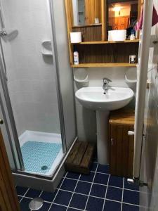 罗卡迪梅佐appartamento incantevole con camino的浴室配有水槽和带水槽的淋浴