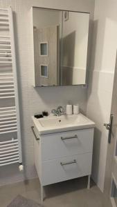 莫斯特Dům nad jezerem - apartmán II.的浴室设有白色水槽和镜子