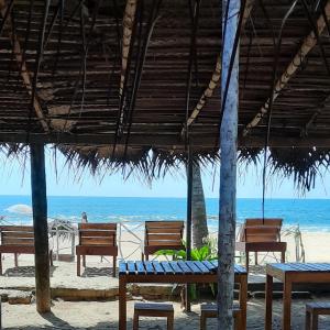 希克杜沃La-Vira Beach Villa的一群长椅,在海滩上与大海交汇