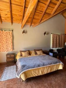 普埃洛湖Valle Puelo的一间带一张床的卧室,位于带木制天花板的房间内