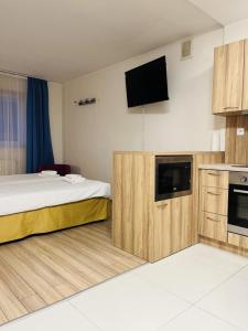 克拉科夫Hotel Major Budget的配有一张床和一台平面电视的酒店客房