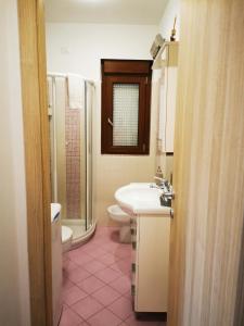大圣玛丽亚Appartamento la Canvetta的一间带水槽、卫生间和淋浴的浴室