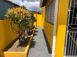 布里奇敦DonaMae 2 story Barbados House的人行道上种有树木和植物的黄色建筑