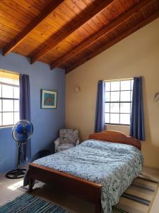 布里奇敦DonaMae 2 story Barbados House的一间卧室配有一张床、一个风扇和两个窗户。