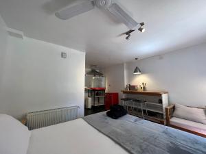 普孔French Andes Apart & Chile Campers Rental的一间卧室配有一张床和吊扇