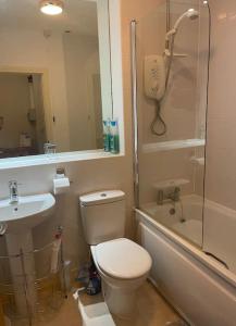 普里茅斯Lovely 1 Bedroom Apartment的浴室配有卫生间、淋浴和盥洗盆。
