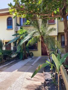 塔马林多Casa Sueno Colibri的前面有棕榈树的建筑