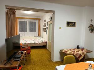 KošťálovPřízemí rodinného domu的客房设有带一张床和电视的卧室。