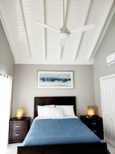 尼格瑞尔Modern Luxury 2-bedroom 2.5-bathroom townhouse的一间卧室设有一张蓝色的床和天花板