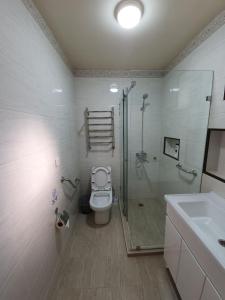 塔什干Chorsu Inn的带淋浴、卫生间和盥洗盆的浴室