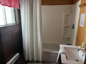 Petit-SaguenayLa Cabane chez Jimmy的浴室设有白色的淋浴帘和水槽