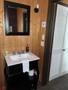 Petit-SaguenayLa Cabane chez Jimmy的一间带水槽和镜子的浴室