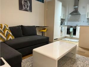 巴尔金Modern and Stylish 1bed flat的带沙发和咖啡桌的客厅