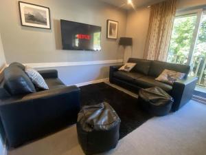LeragsPuffin - Kerrera的客厅配有两张沙发和一台电视机