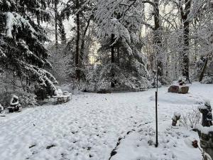 Middle RiverRelax in Nature & Serenity at Bird River Cottage!的一座有雪覆盖的公园,里面种有树木,有雪覆盖的地面