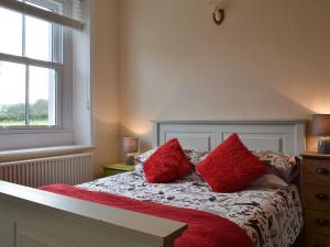 BlencogoBlaithwaite Cottage的一间卧室配有一张带红色枕头的床和一扇窗户