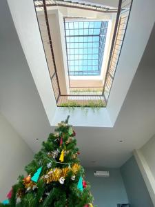 普吉镇Alleyhill Phuket - Private & Cozy Boutique的天窗房间里一棵圣诞树