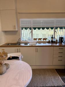 温特和克ENCHANTING SELF-CATERING VILLA with QUEEN BED AT BOKMAKIERIE VILLAS的厨房配有水槽和台面