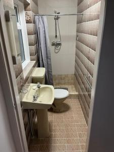 KilmeadenGlencree Air的一间带卫生间和水槽的浴室