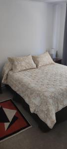 圣地亚哥santiago centro的一间卧室配有一张带被子和枕头的床