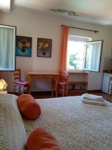 巴多利诺Agriturismo Ca' Castellani的一间卧室配有一张床、一张书桌和两个窗户。